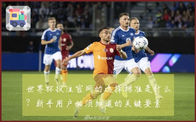世界杯投注官网的选择标准是什么？新手用户必须知道的关键要素