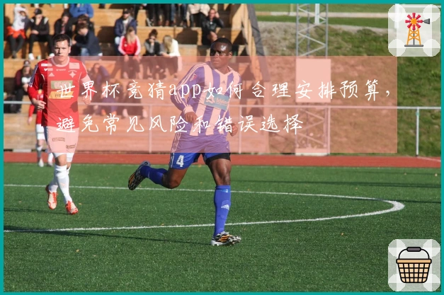 世界杯竞猜app如何合理安排预算，避免常见风险和错误选择