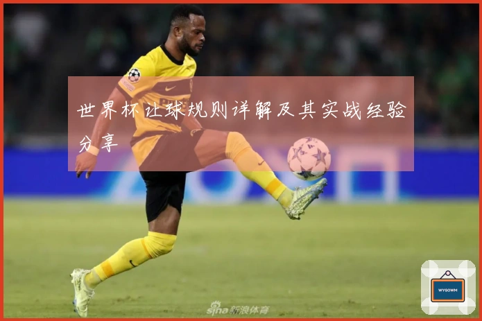 世界杯让球规则详解及其实战经验分享