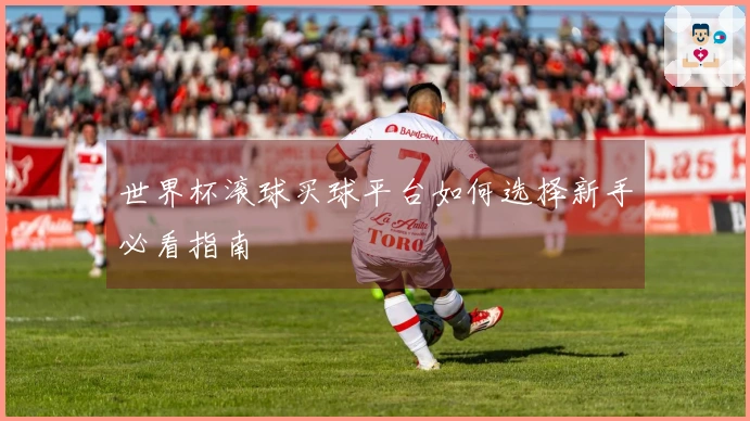 世界杯滚球买球平台如何选择新手必看指南