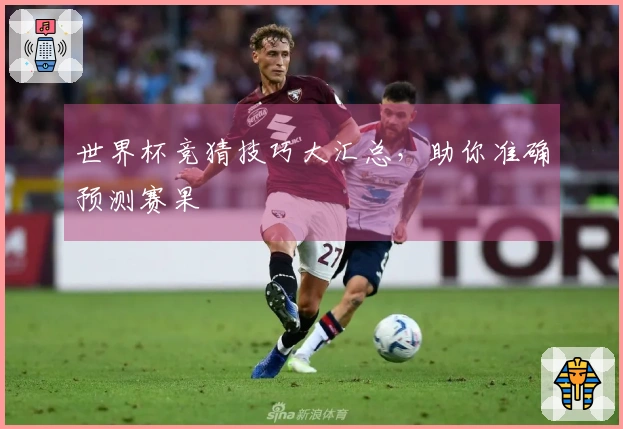 世界杯竞猜技巧大汇总，助你准确预测赛果