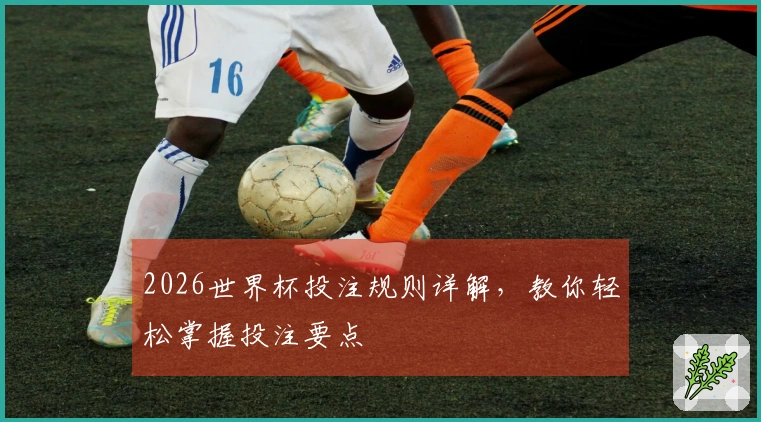 2026世界杯投注规则详解，教你轻松掌握投注要点
