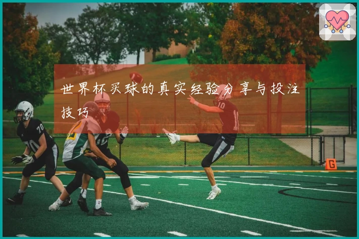 世界杯买球的真实经验分享与投注技巧