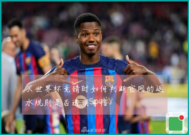 买世界杯竞猜时如何判断官网的返水规则是否透明可信
