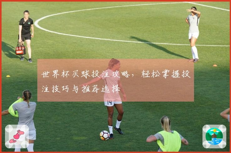 世界杯买球投注攻略，轻松掌握投注技巧与推荐选择