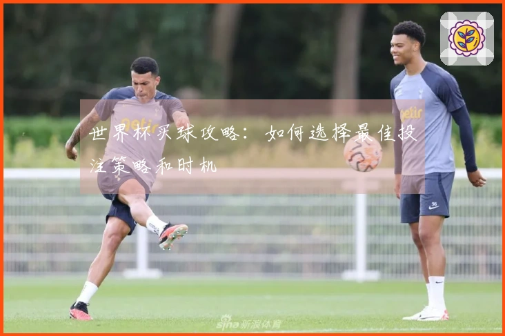 世界杯买球攻略：如何选择最佳投注策略和时机