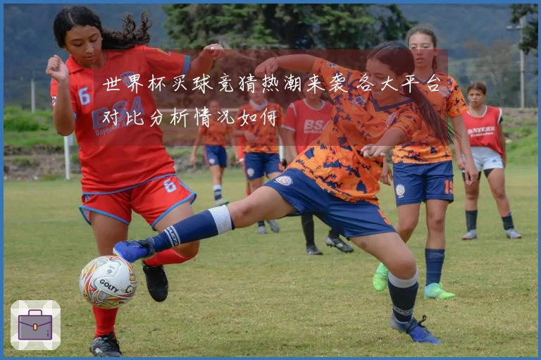 世界杯买球竞猜热潮来袭 各大平台对比分析情况如何