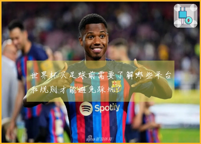 世界杯买足球前需要了解哪些平台和规则才能避免踩坑？