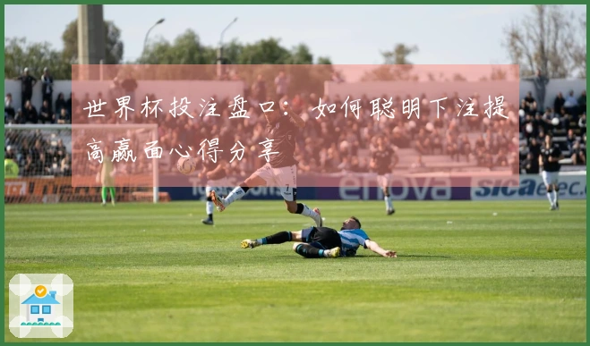 世界杯投注盘口：如何聪明下注提高赢面心得分享