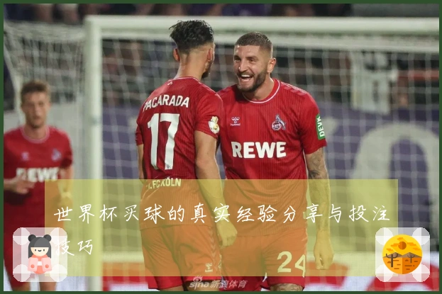 世界杯买球的真实经验分享与投注技巧