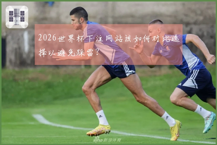 2026世界杯下注网站该如何对比选择以避免踩雷？