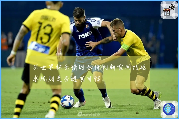 买世界杯竞猜时如何判断官网的返水规则是否透明可信