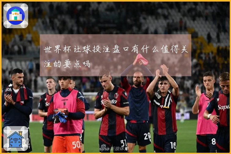 世界杯让球投注盘口有什么值得关注的要点吗