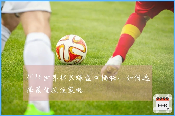 2026世界杯买球盘口揭秘，如何选择最佳投注策略