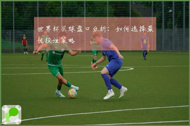 世界杯买球盘口分析：如何选择最优投注策略