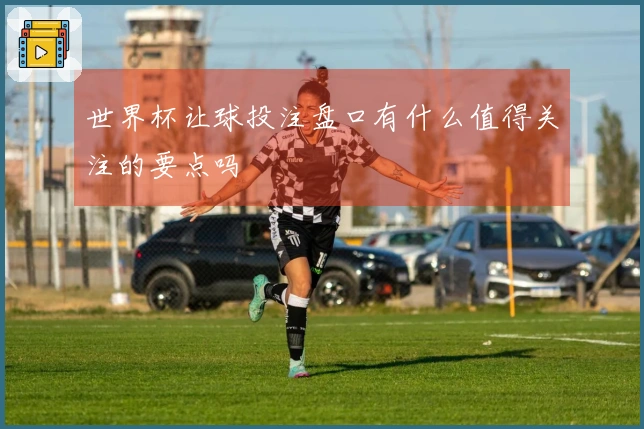 世界杯让球投注盘口有什么值得关注的要点吗