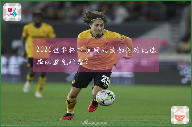 2026世界杯下注网站该如何对比选择以避免踩雷？