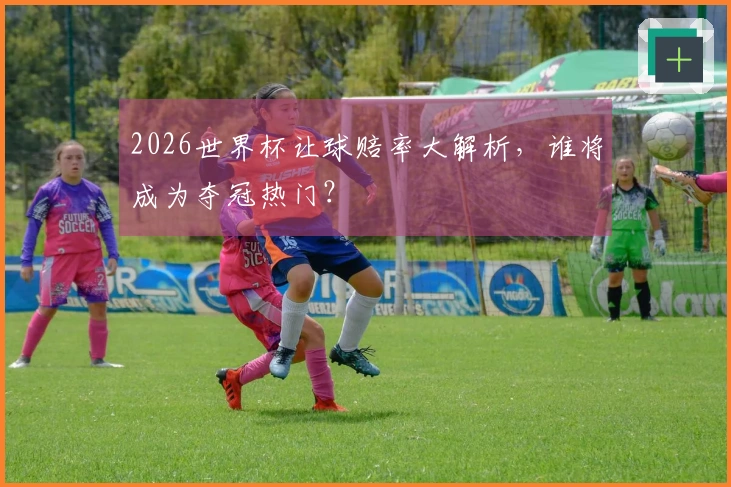 2026世界杯让球赔率大解析，谁将成为夺冠热门？