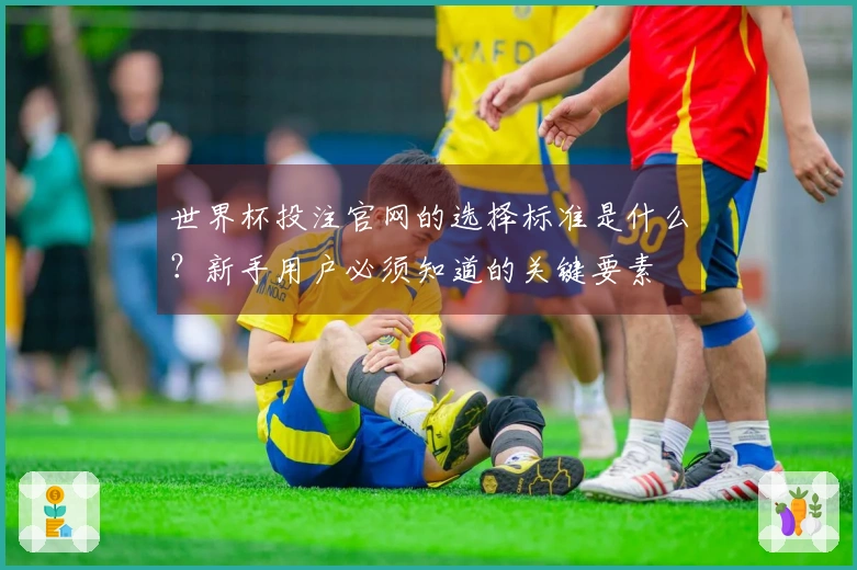 世界杯投注官网的选择标准是什么？新手用户必须知道的关键要素