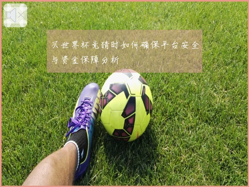 买世界杯竞猜时如何确保平台安全与资金保障分析