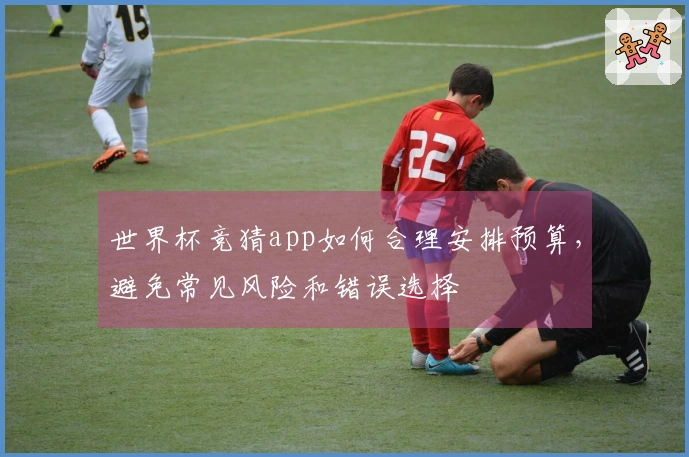 世界杯竞猜app如何合理安排预算，避免常见风险和错误选择